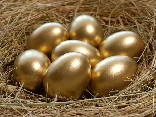 A nest of golden eggs, indicating wealth